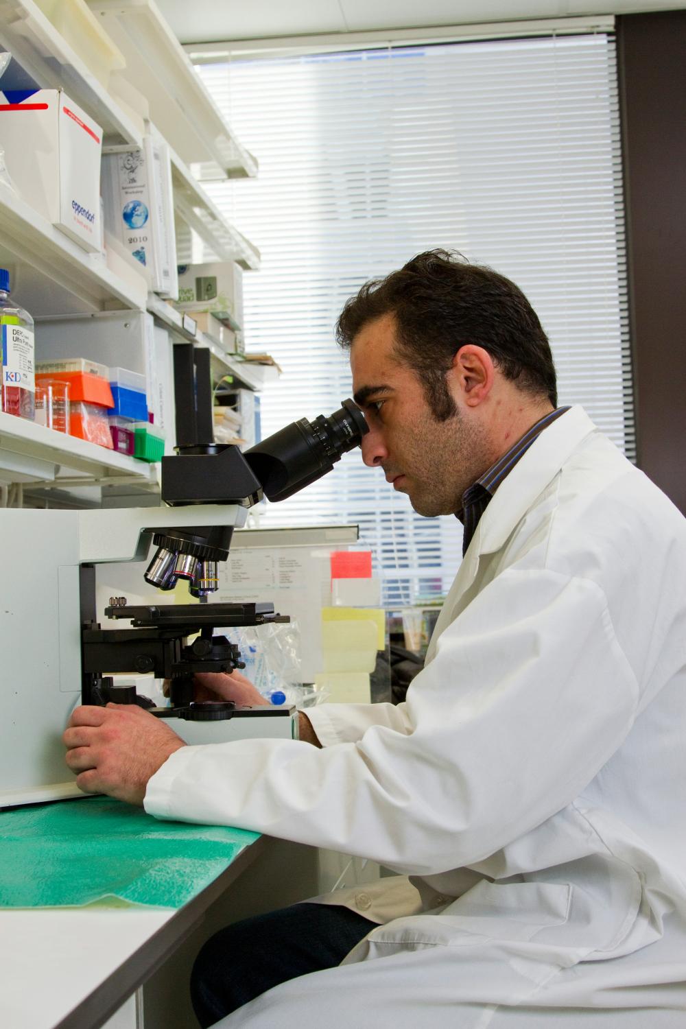 Foto di National Cancer Institute